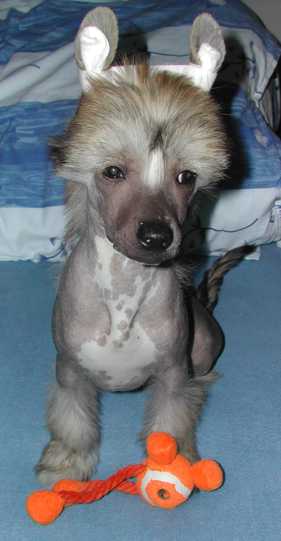DSCN0287.JPG