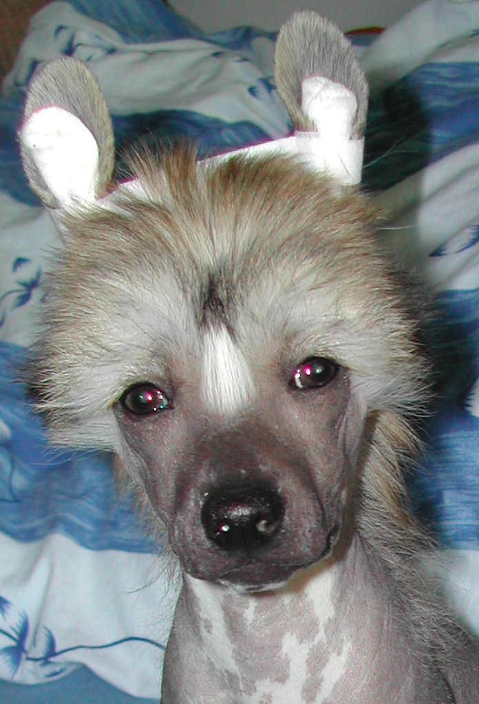 DSCN0289.JPG