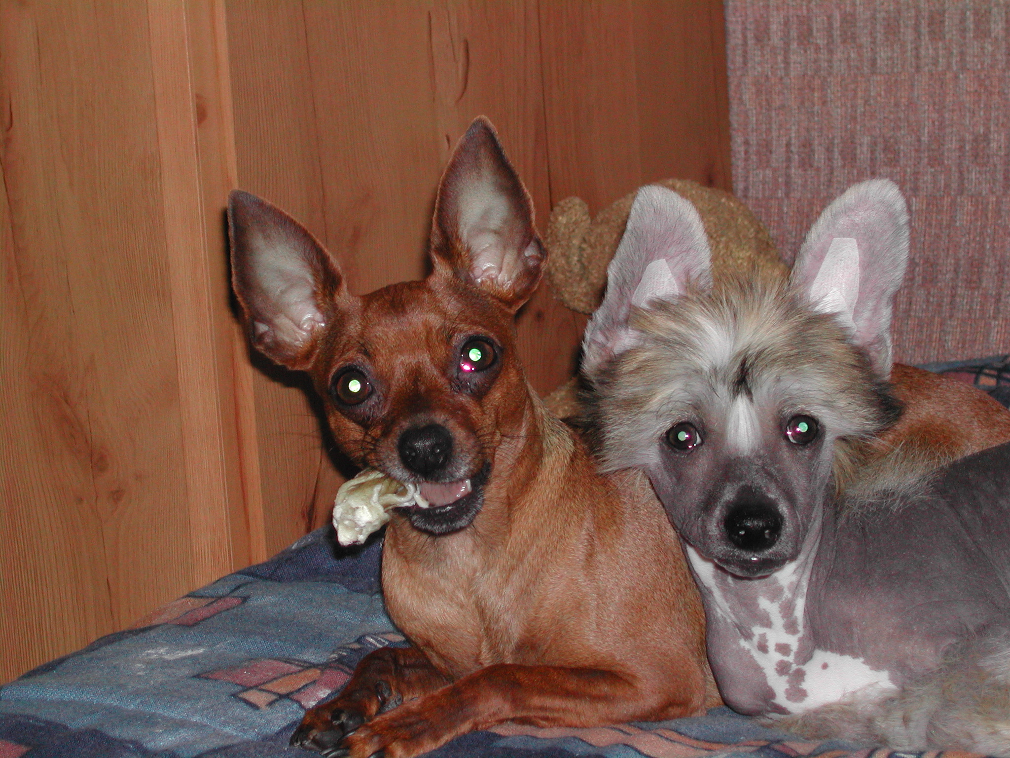 DSCN0392.JPG