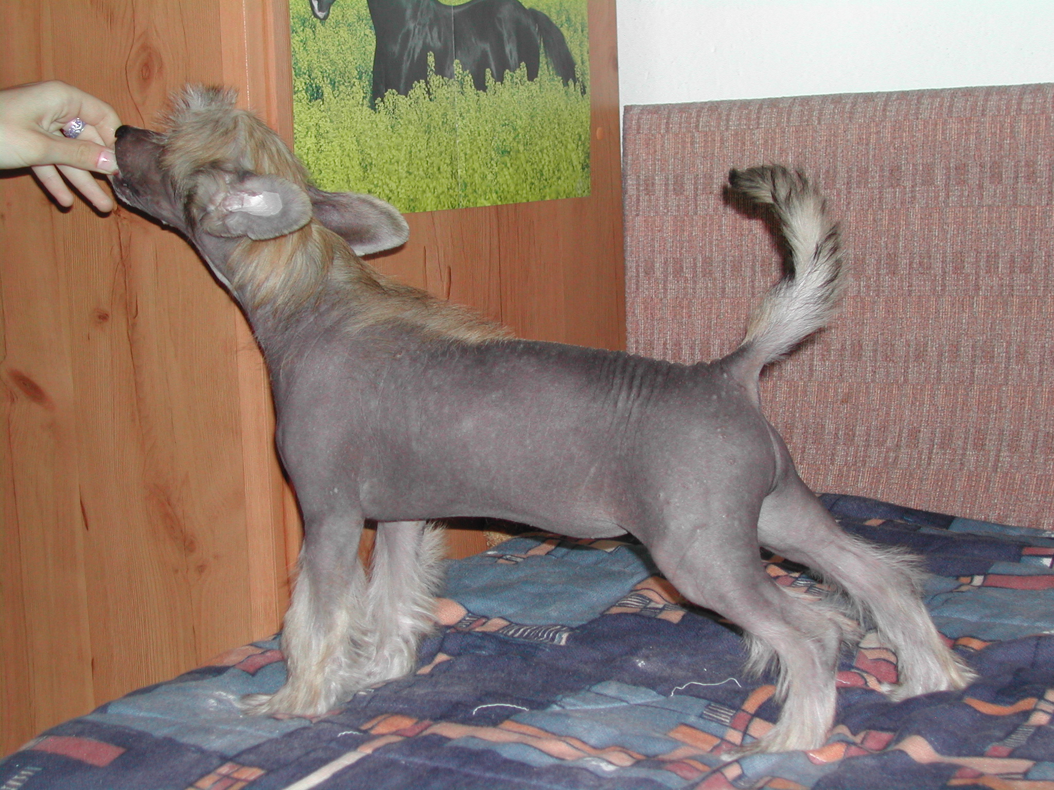 DSCN0394.JPG