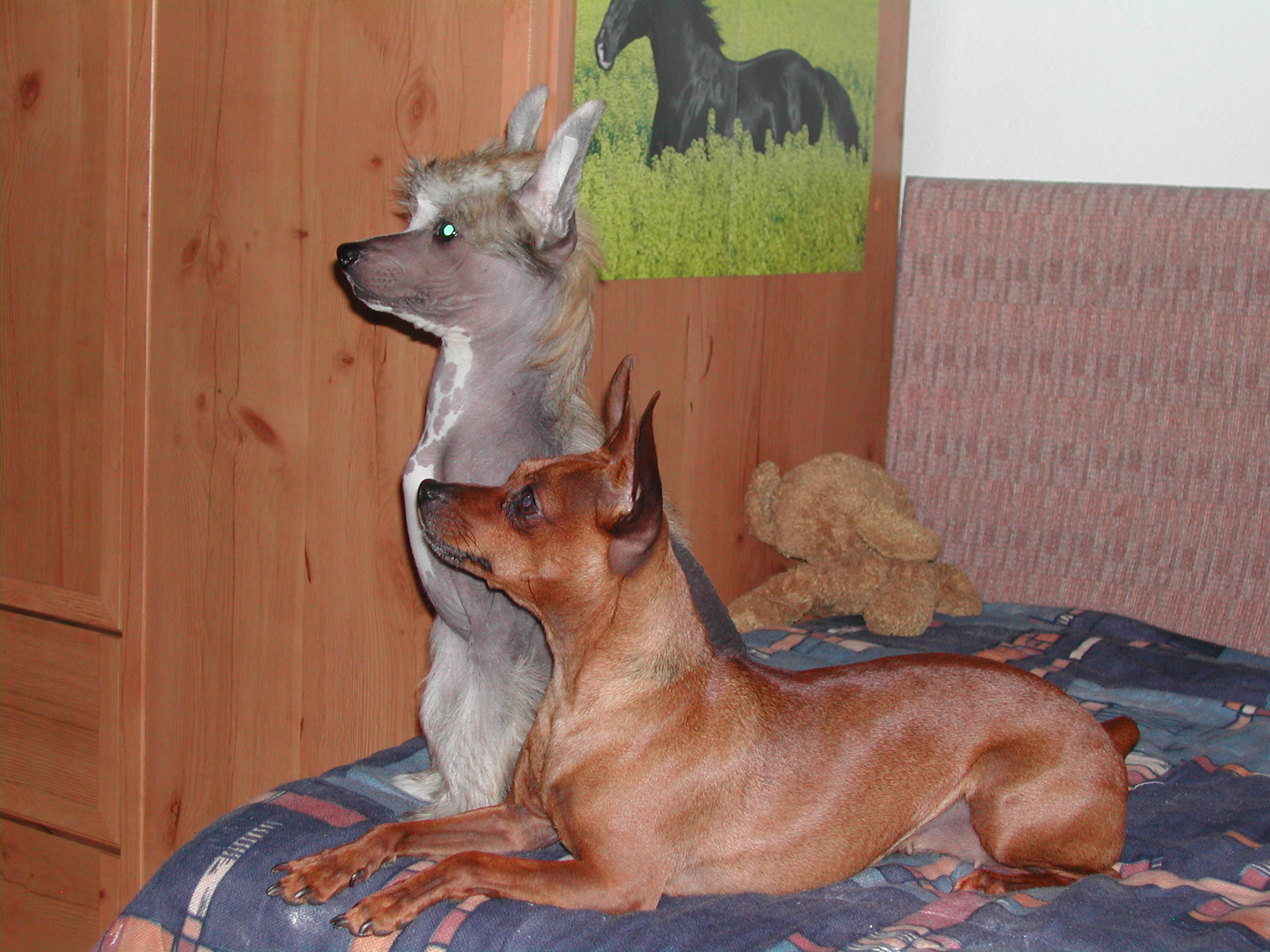DSCN0403.JPG