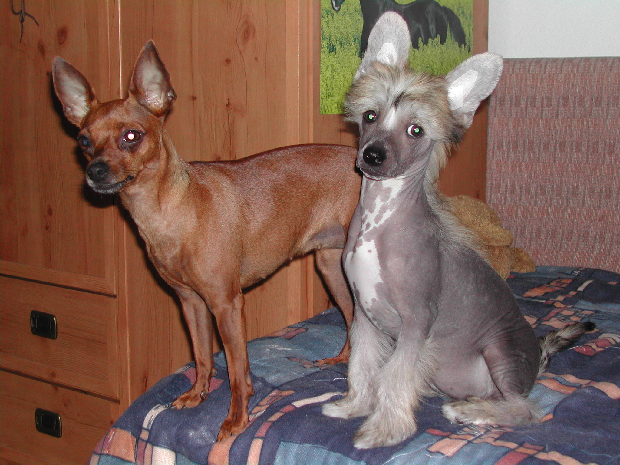 DSCN0406.JPG