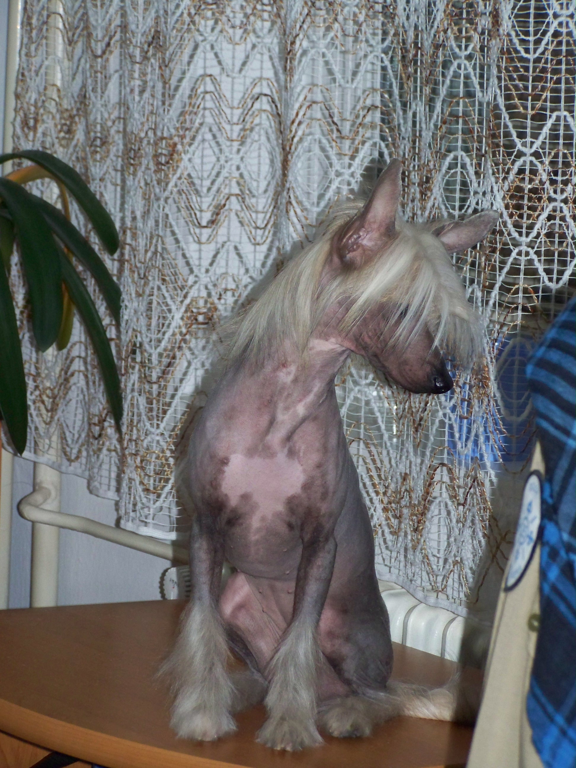 100_3394.JPG