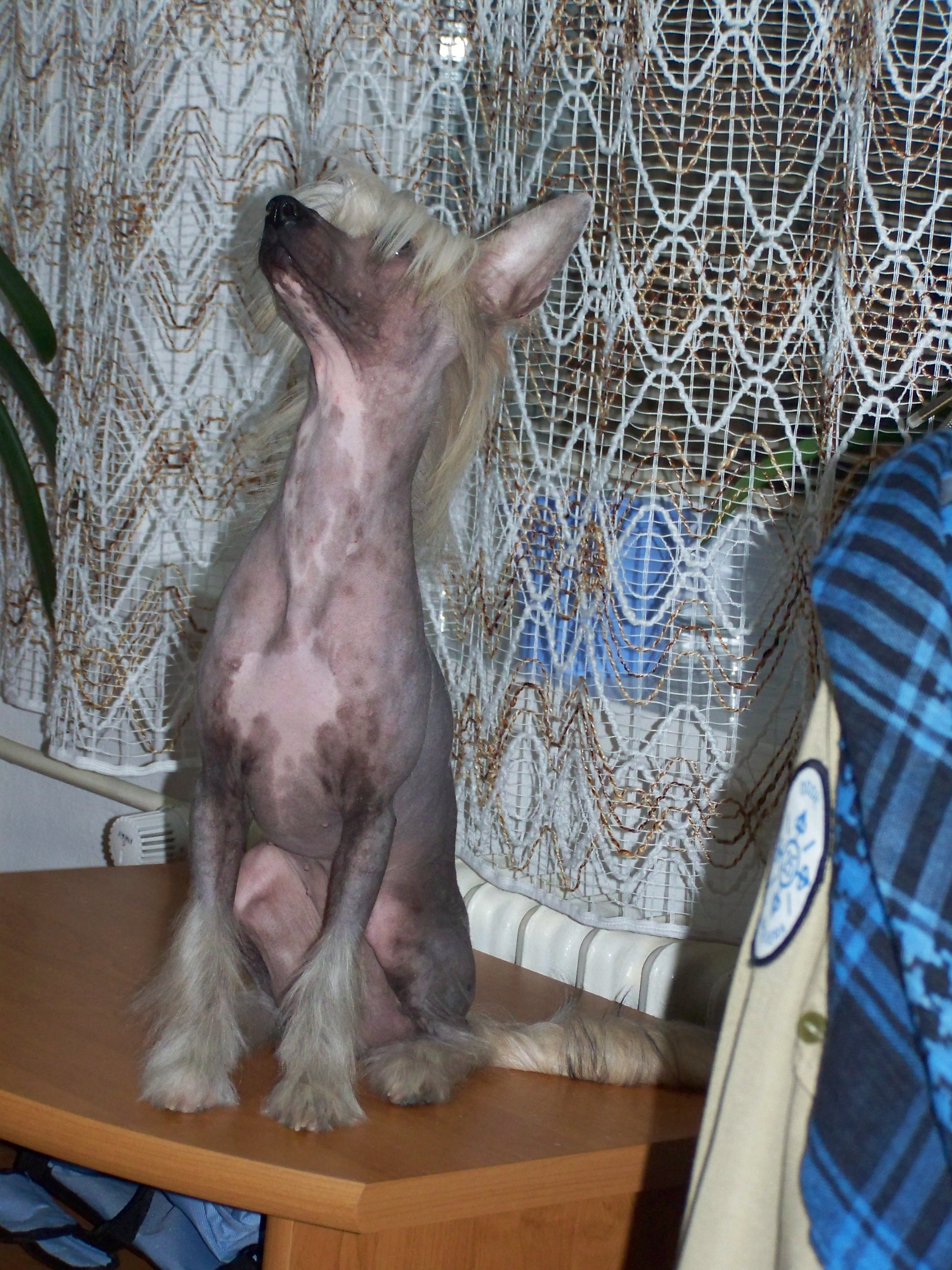 100_3395.JPG