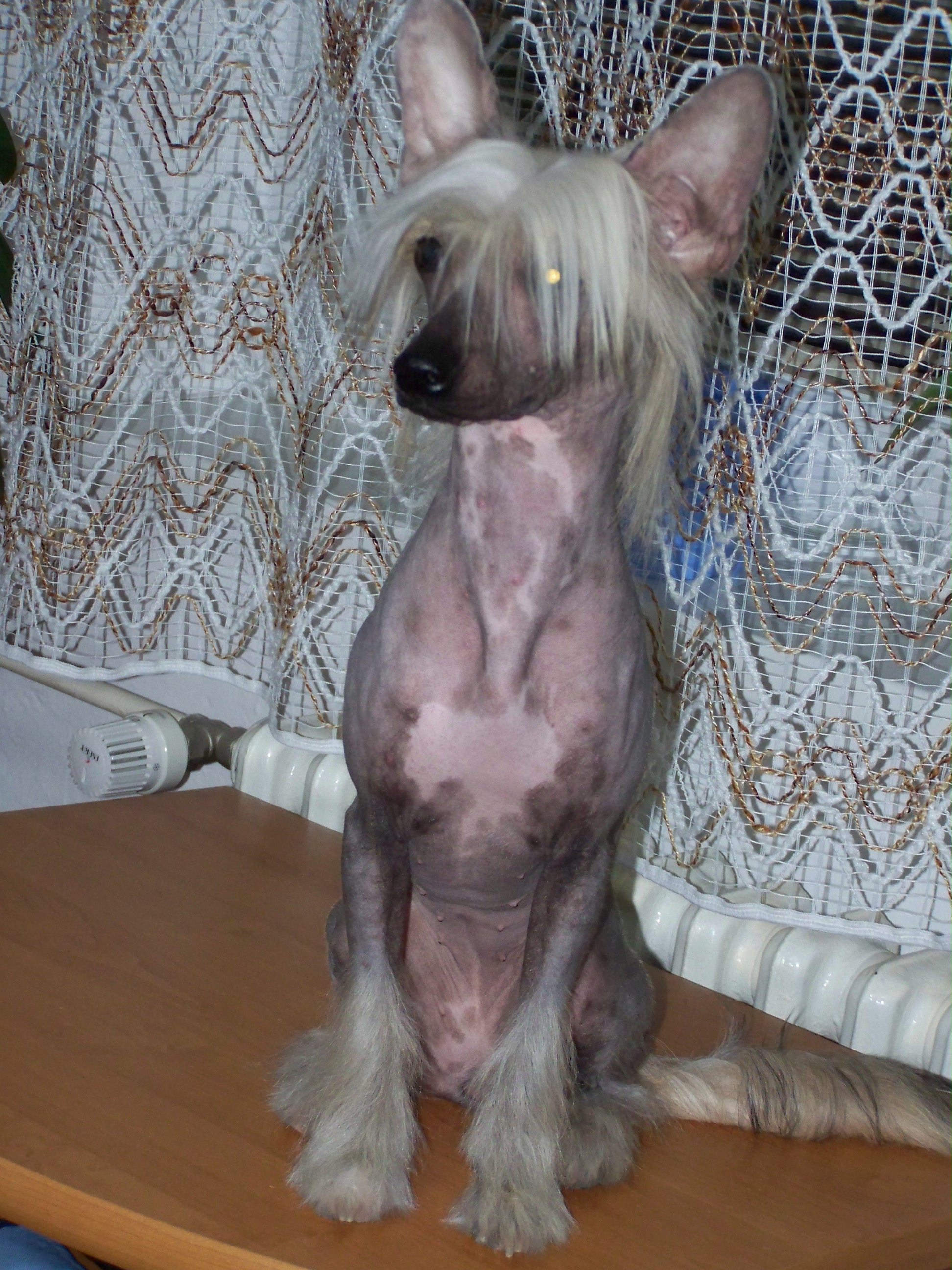 100_3396.JPG