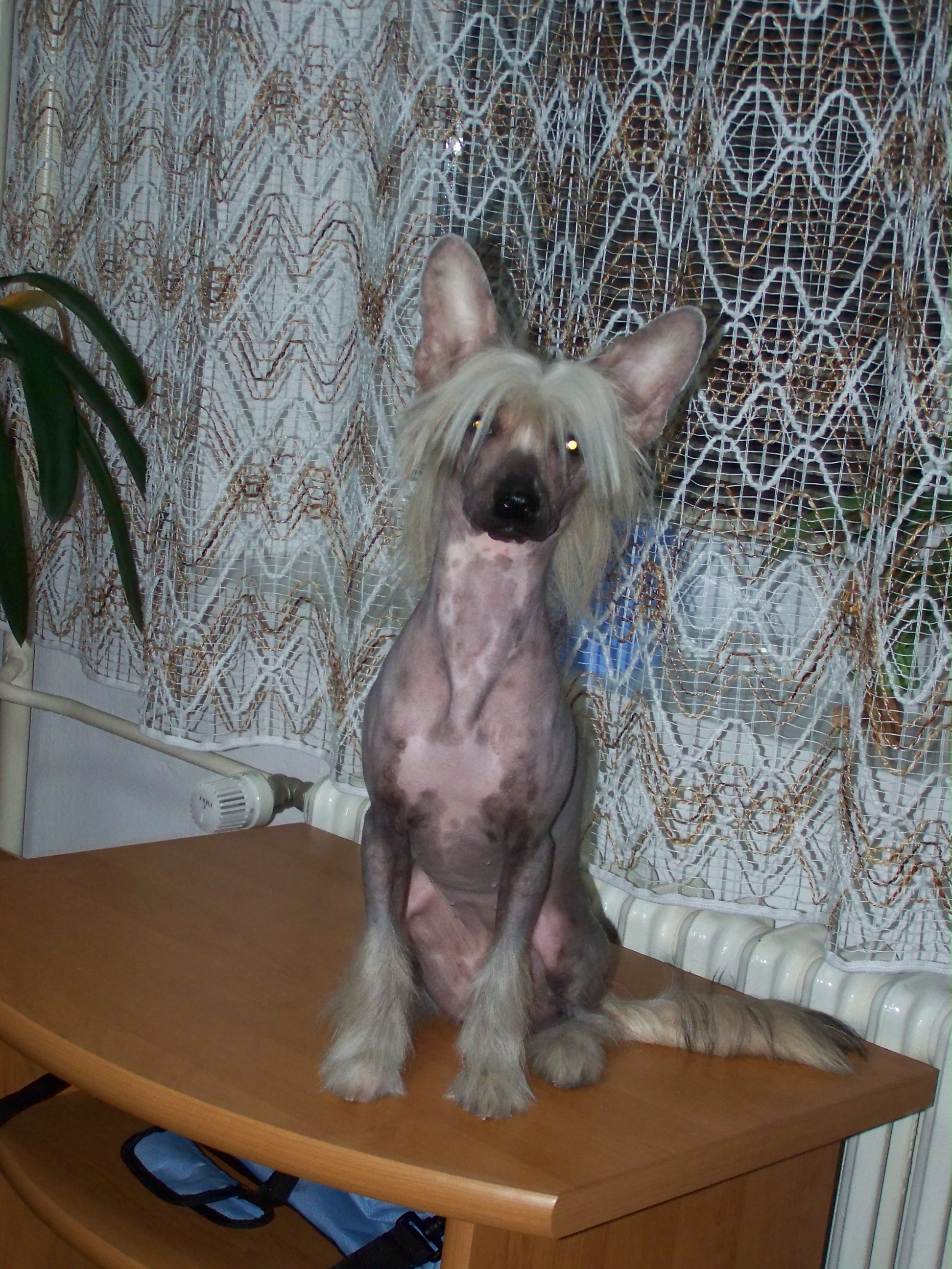 100_3397.JPG