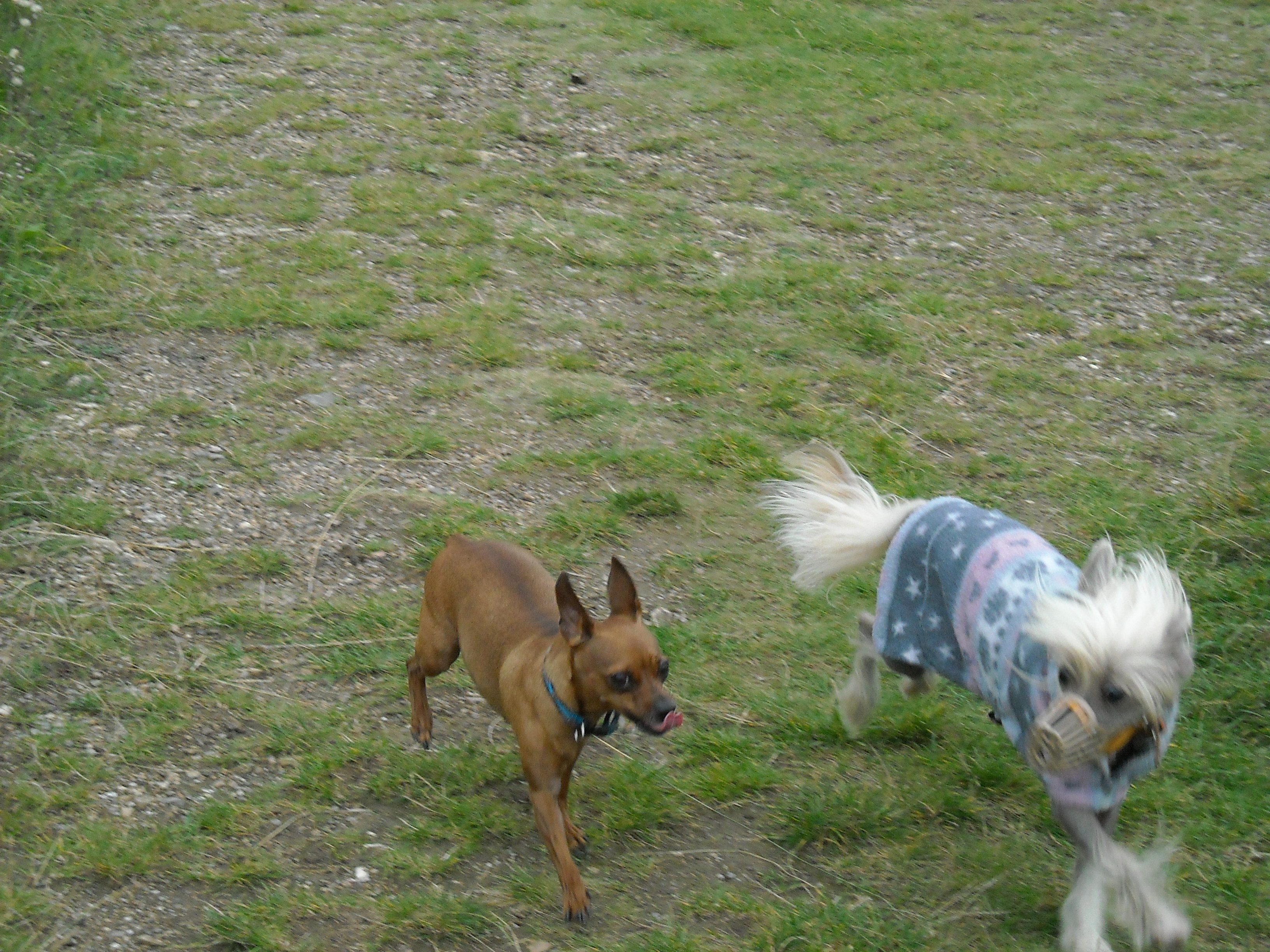 DSCN2695