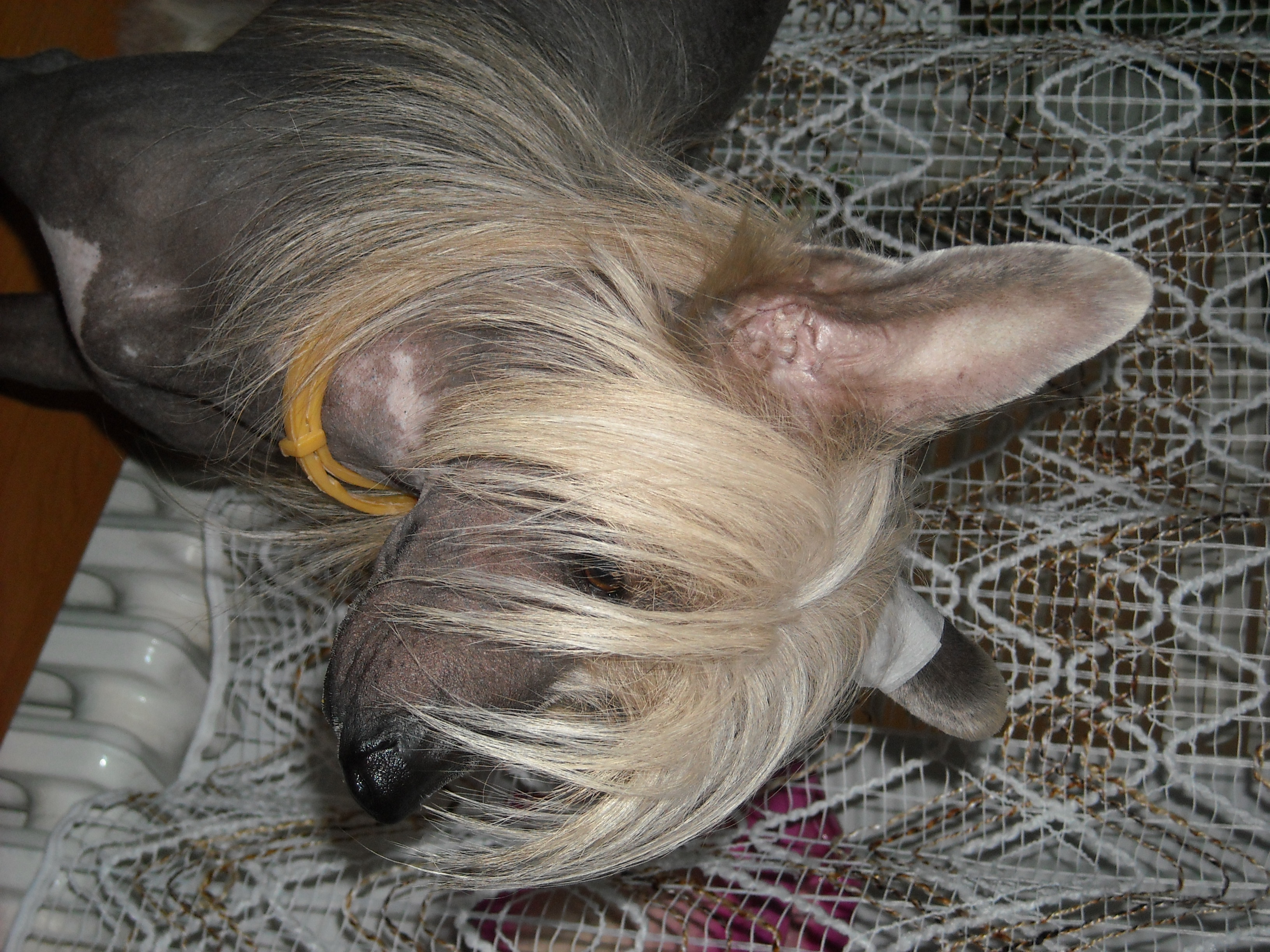 DSCN2850