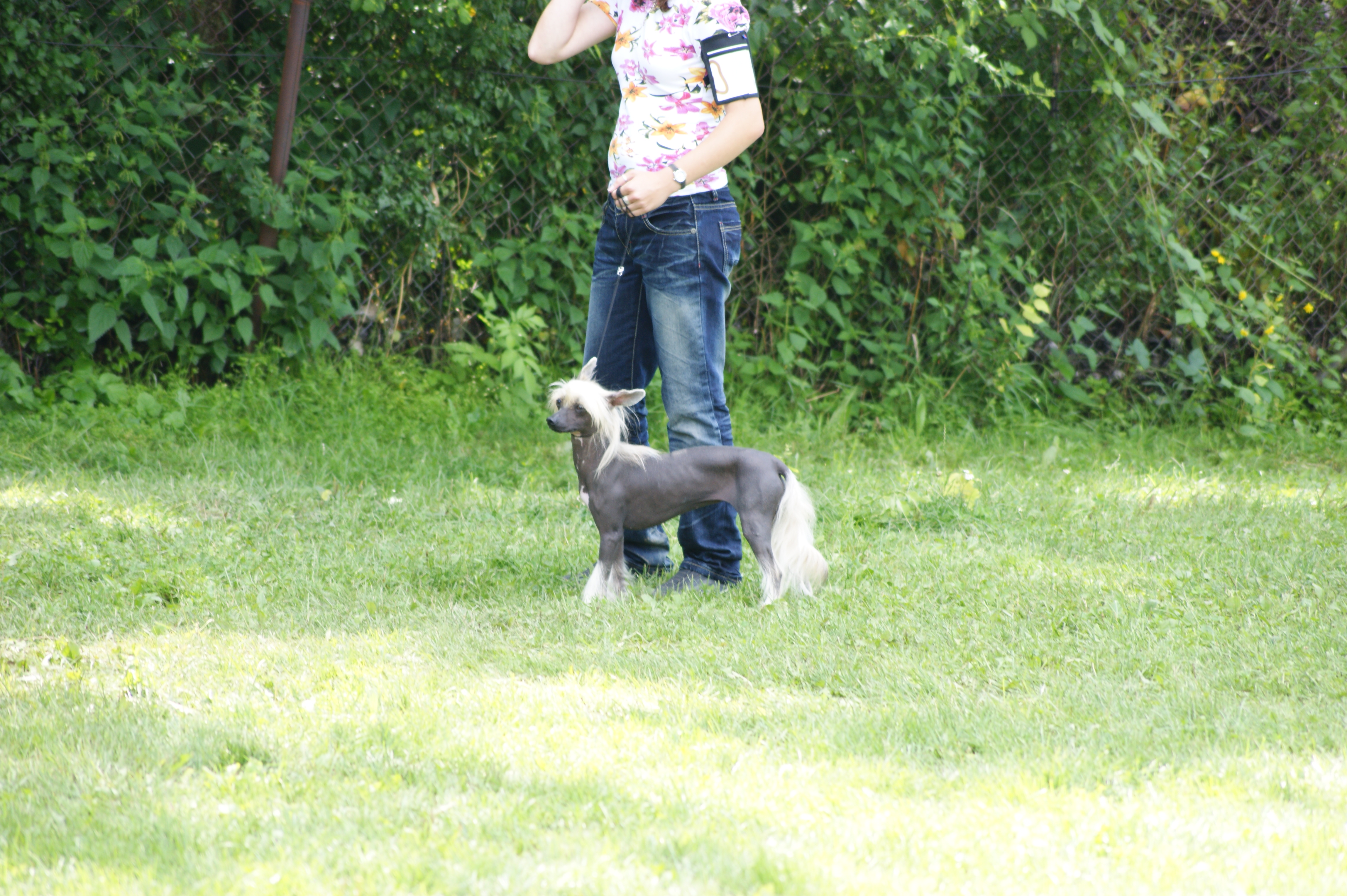 DSC02759